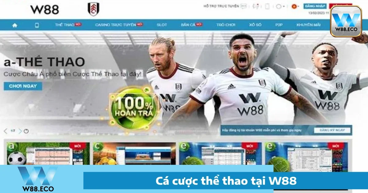 Các môn thể thao phổ biến tại W88