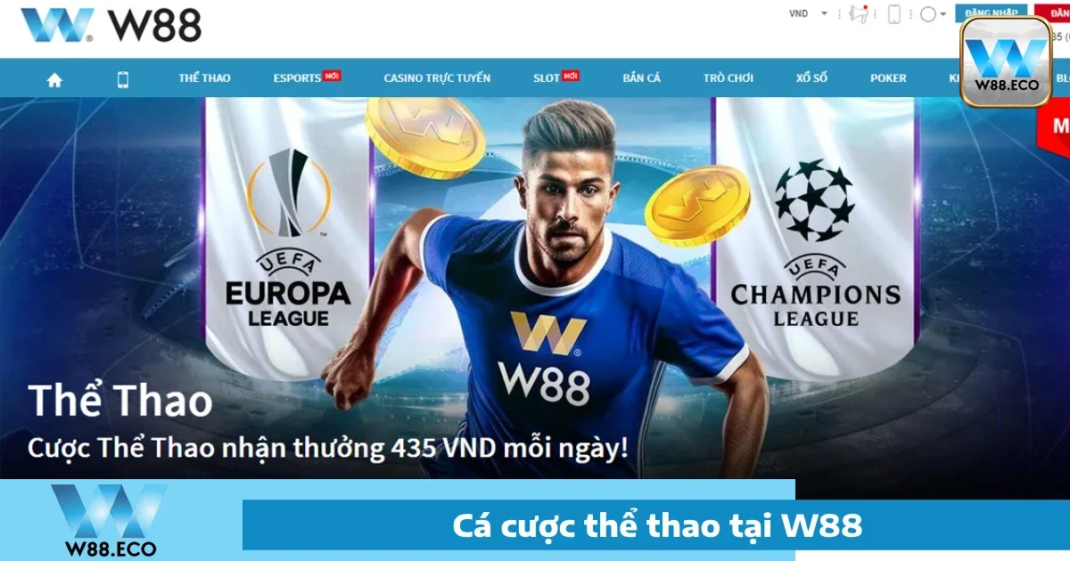 Ưu đãi đặc biệt tại Thể thao W88