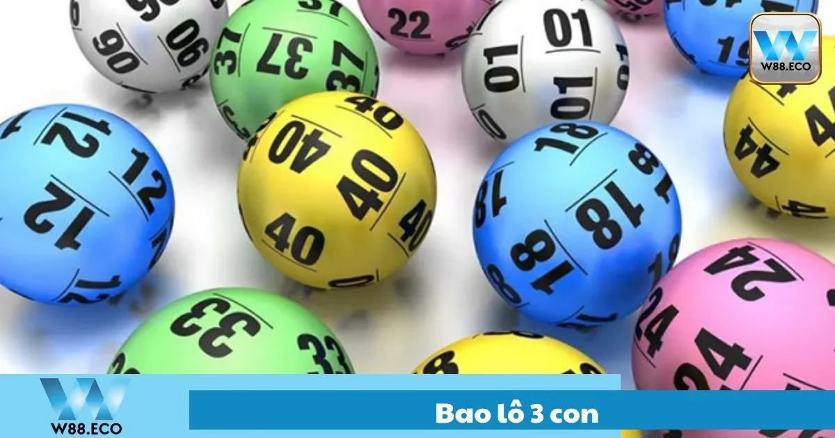 Bao Lô 3 Con Là Gì? Tổng Quan Cơ Bản