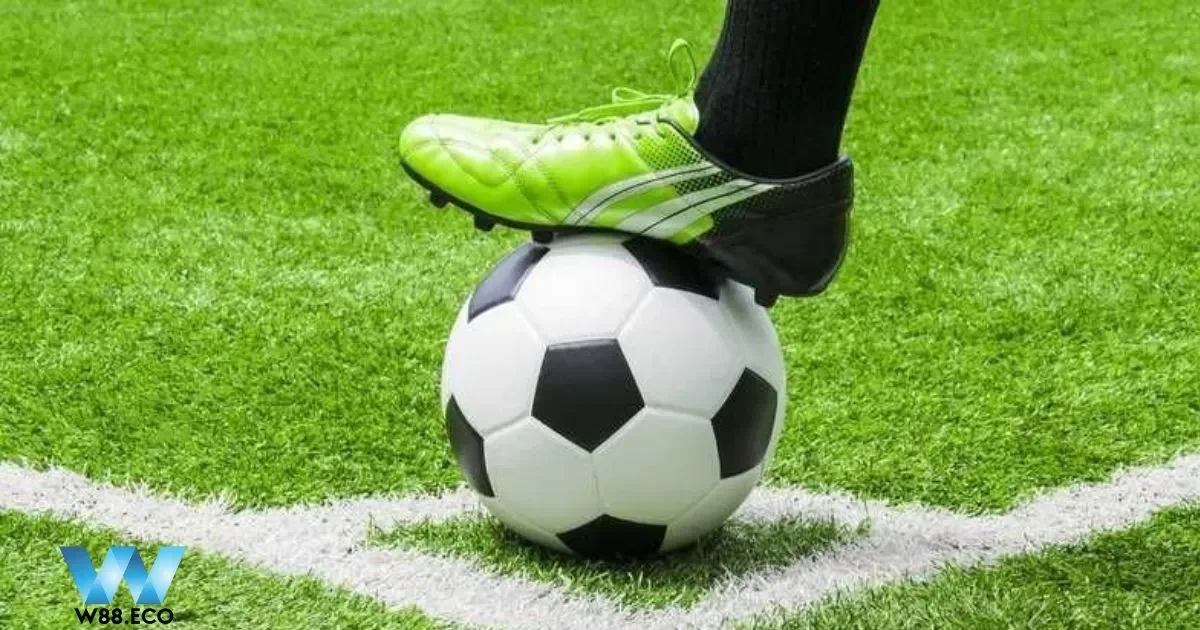 Lịch sử đối đầu của các trận cược