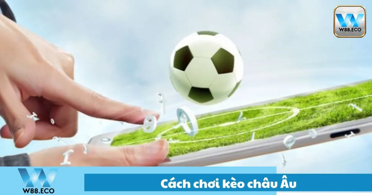 Cách chọn cửa hòa