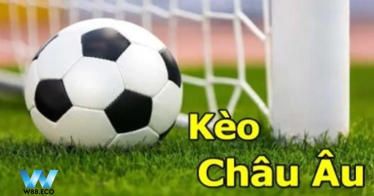 Xem xét động thái của nhà cái