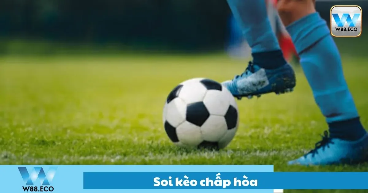 Kèo chấp hòa là gì?